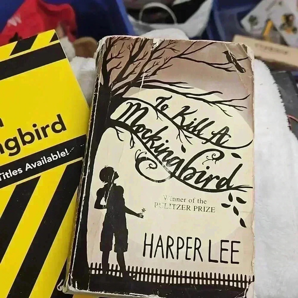 To kill a Mockingbird​ - Picture 2 of 4